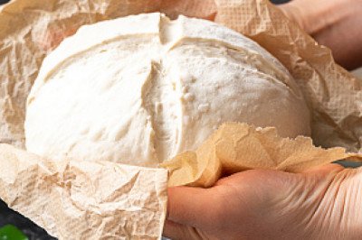 Feed Yeast Market Value, Forecast, Business Prospects, Demand with Overview of Competitor