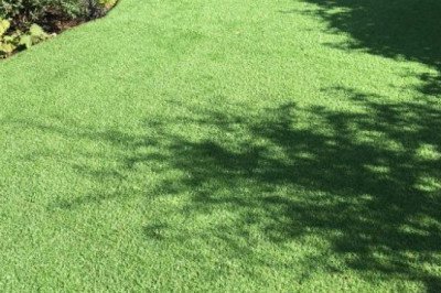 Want to give a unique appeal to your lawn? Buy High Quality Artificial Grass!