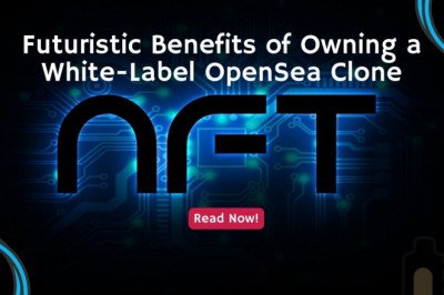 The Stages of White Label Opensea Clone Development Are as Follows