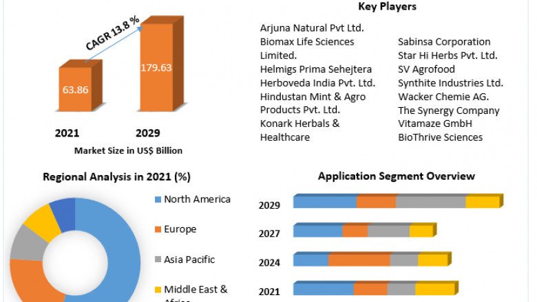Curcumin Market Growth, Size, Share, Opportunities, Industry Analysis & Forecast to 2029