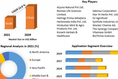 Curcumin Market Growth, Size, Share, Opportunities, Industry Analysis & Forecast to 2029