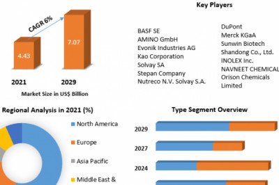 Betaine Market Opportunities, Growth, Demand and Forecast to 2029