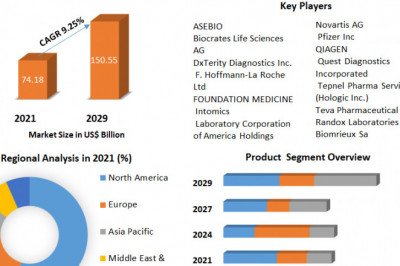 Veterinary Medicine Market Competitive Landscape, Future Trends, Industry Size And Regional Forecast To 2029