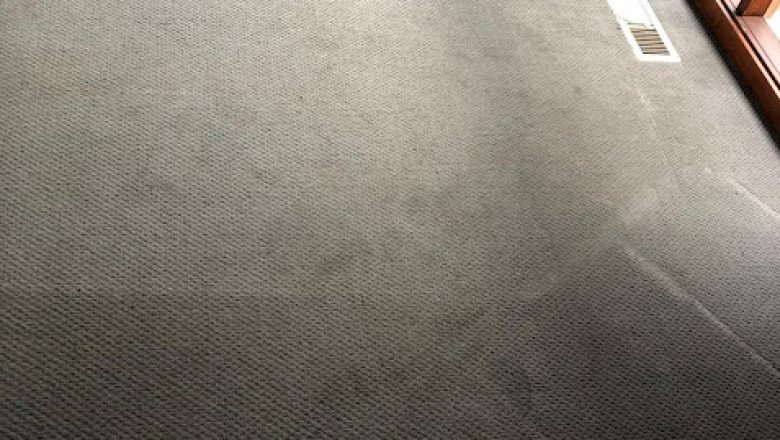 Toms Professional Carpet Cleaning Caulfield