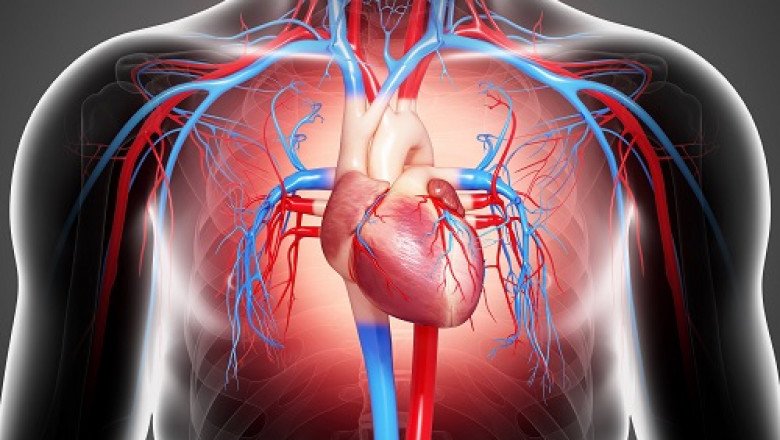 Cardiac Rhythm Management Devices are the battery-run devices that are placed into the cardiac patient’s heart for monitoring and controlling heart rhythms