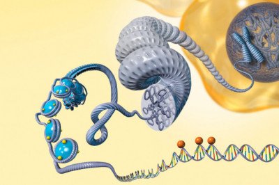 Epigenetics; the Study of How Cells Control Gene Activity without Changing the DNA Sequence