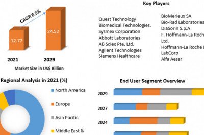 Endocrine Testing Market Size, Share, Trends, Analysis, Competition, Growth Rate, and Forecast 2029