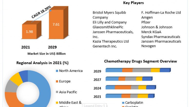 Ovarian Cancer Drugs Market Growth, Trends, Leading Players And Business Insights Forecast To 2029