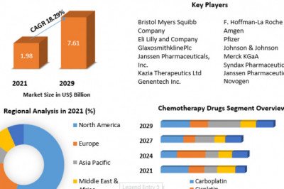 Ovarian Cancer Drugs Market Growth, Trends, Leading Players And Business Insights Forecast To 2029