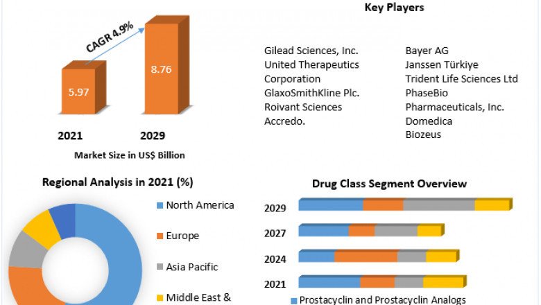 Pulmonary Arterial Hypertension Market Estimation, Dynamics, Trends, Competitor Analysis and Forecast 2022-2029