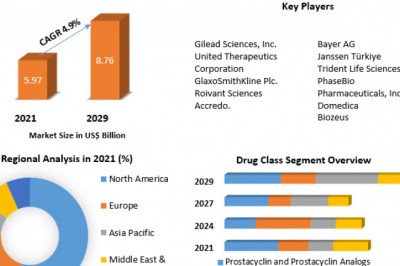 Pulmonary Arterial Hypertension Market Estimation, Dynamics, Trends, Competitor Analysis and Forecast 2022-2029