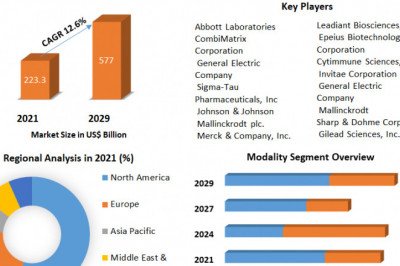 Nanomedicine Market Business Opportunities And Industry Analysis Report 2029