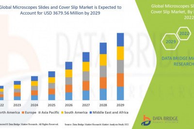 Microscopes Slides and Cover Slip Market Leading Brands