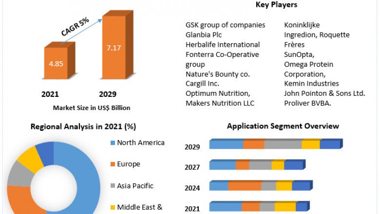 Which Companies Are Leading The Functional Proteins Market In 2029?