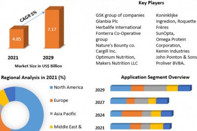 Which Companies Are Leading The Functional Proteins Market In 2029?