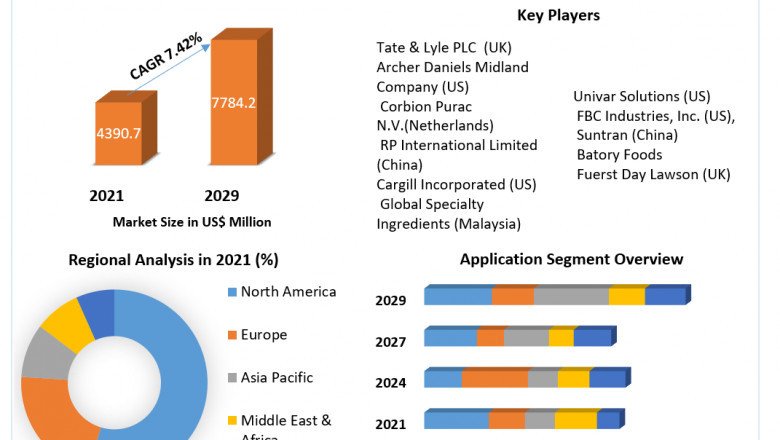 Which Companies Are Leading The Food Acidulates Market In 2029?