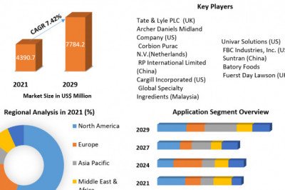 Which Companies Are Leading The Food Acidulates Market In 2029?