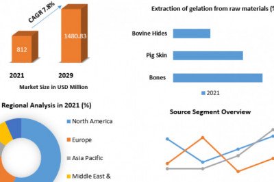 What Is The Collagen And Pectin Market Size.?