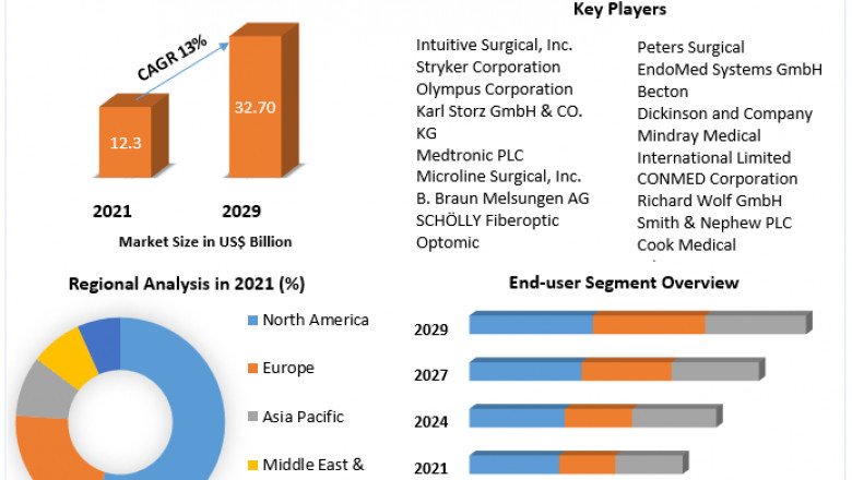 Which Companies Are Leading The Laparoscopic Appliance Market In 2029?
