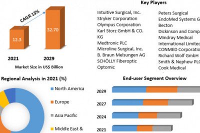 Which Companies Are Leading The Laparoscopic Appliance Market In 2029?
