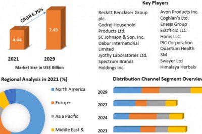 How was the competitive scenario of the Insect Repellent market in 2029?