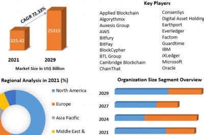 What segments are covered in the Global Blockchain Insurances Market report?