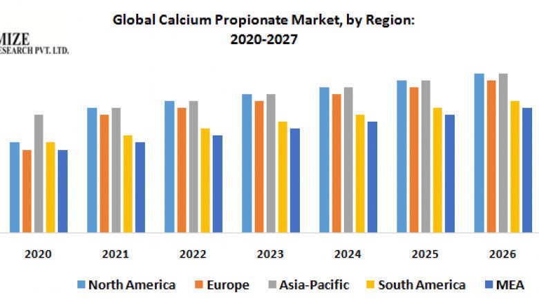 Which Companies Are Leading The Calcium Propionate Market In 2029?