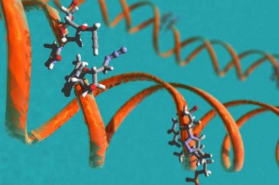 Chemically Synthesizing Double-Stranded DNA Molecules In Vitro Is Called Gene Synthesis