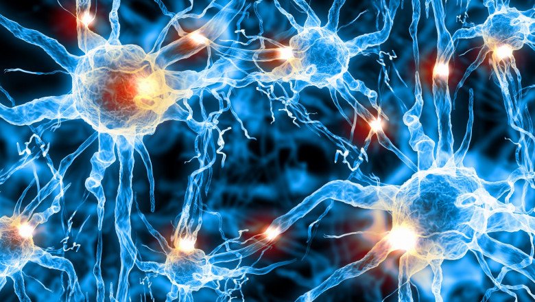 Forecasting 2022-2028: Global Nerve Repair and Regeneration Market  trends, share, size, growth, opportunities, and forecasts
