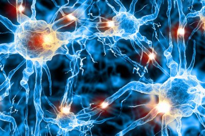 Forecasting 2022-2028: Global Nerve Repair and Regeneration Market  trends, share, size, growth, opportunities, and forecasts