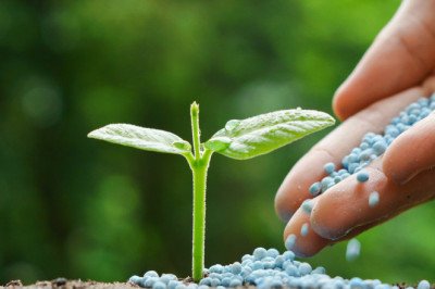 A study of the global Complex Fertilizers Market : trends, market size, growth, opportunity, as well as forecasts for 2025