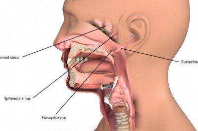 A study of the global Hypopharyngeal Cancer Treatment Market : trends, market size, growth, opportunity, as well as forecasts for 2022-2028