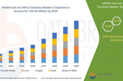 What are the business Opportunities  Middle East and Africa Tomatoes Market 2030 .