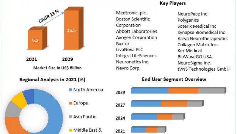 Nerve Repair and Regeneration Market Share, Growth Is Boosted by Increasing Demand Forecast 2029