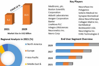 Nerve Repair and Regeneration Market Share, Growth Is Boosted by Increasing Demand Forecast 2029