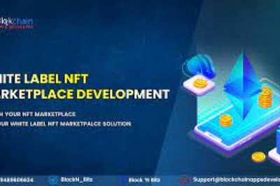 White Label NFT Marketplace Development Company - Build Your Own NFT Marketplace Within 48 Hours