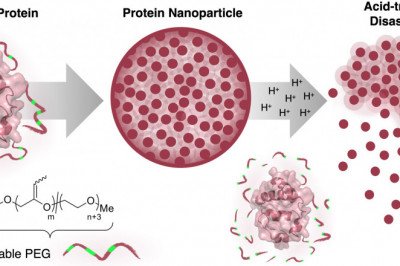 Global PEGylated Proteins Market : Trends, Size, Growth, Opportunity, and Forecast to 2022-2030