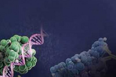 Clinical trials for drug development use Protein Expression Systems widely
