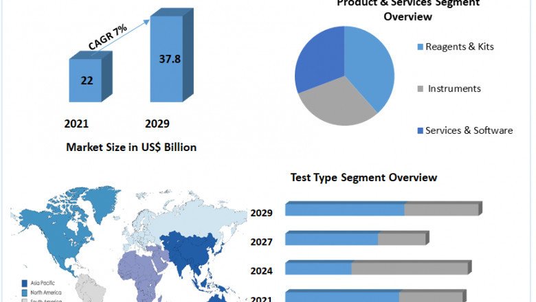 Global Molecular Diagnostics Market Size, Share, Growth & Trend Analysis Report by 2029.