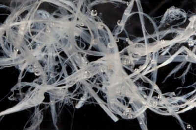 Recyclable and biodegradable, Synthetic Spider Silk replaces silkworm silk