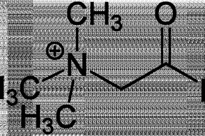 The global betaine market is growing due to its use in manufacturing industrial products
