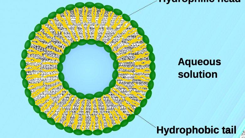 Global Lipid Analysis Devices Market : Trends, Size, Growth, Opportunity, and Forecast to 2022-2028