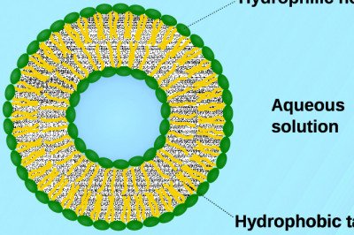 Global Lipid Analysis Devices Market : Trends, Size, Growth, Opportunity, and Forecast to 2022-2028
