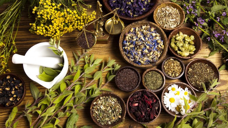 Global Herbal Medicinal Products Market: Trends, Size, Growth, Opportunity, and Forecast to 2019-2027
