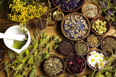 Global Herbal Medicinal Products Market: Trends, Size, Growth, Opportunity, and Forecast to 2019-2027