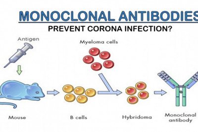 Monoclonal Antibodies Market: Global Industry Trends, Share, Size, Growth, Opportunity and Forecast 2020-2027