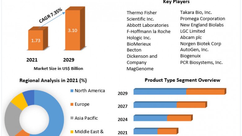 Pneumonia Testing Market Latest Insights, Growth Rate, Future Trends and Forecast 2029.