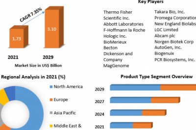 Pneumonia Testing Market Latest Insights, Growth Rate, Future Trends and Forecast 2029.