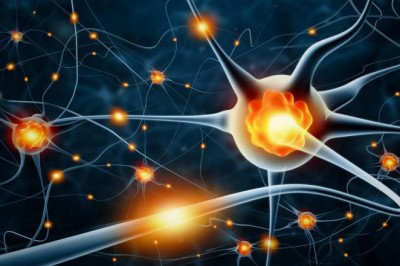 Nerve Repair and Regeneration; used to regenerate and repair nerves