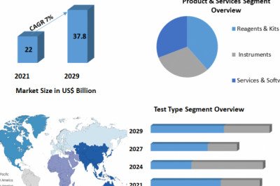 Molecular Diagnostics Market Share, Developments Status, Size, Top Players Strategy, Share And Forecast To 2029